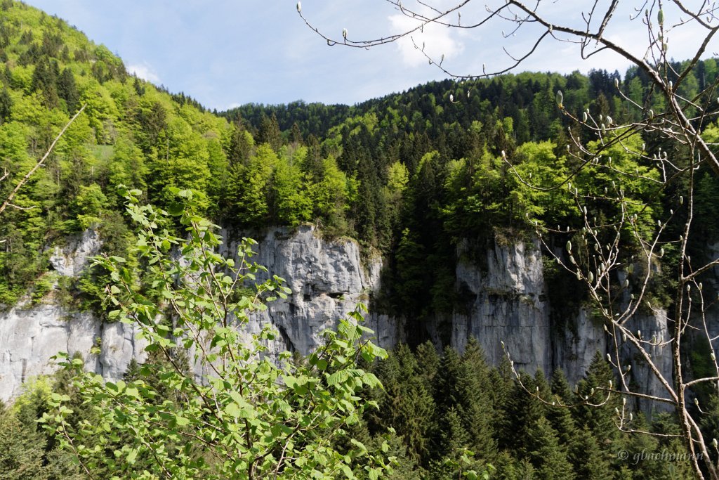 20150507_016